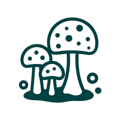 Mold